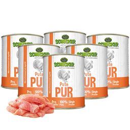 Schecker Nassfutter - Pute PUR