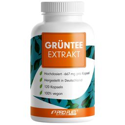 ProFuel - GRÜNTEE Kapseln - hochdosiert mit 1333 mg Grüntee-Extrakt pro Tag, davon 600 mg EGCG
