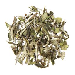 tea exclusive - Pai Mu Tan Weißer Tee China bio