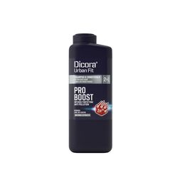 DICORA Shampoo und Conditioner PRO BOOST 2in1