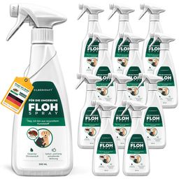 SILBERKRAFT Flohspray für die Umgebung