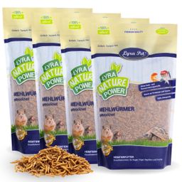 Lyra Pet® Mehlwürmer getrocknet im Beutel