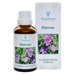 Evolution Zistrose Tinktur
