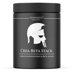 Gannikus Creatin Beta Alanin Stack