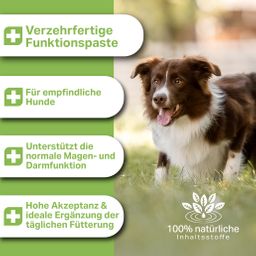 Medidog Ulmenrinden Paste 500 g