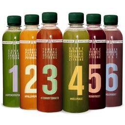 5-Tage Gemüse Saftkur (inkl. 7,50€ Pfand)