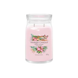 Aromatische Kerze Signature Glas groß Desert Blooms