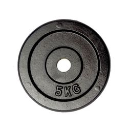 FUEL Fitness Hantelscheibe 1x 5kg