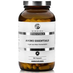 QIDOSHA Master Aminosäuren Komplex plus Vitamin B6