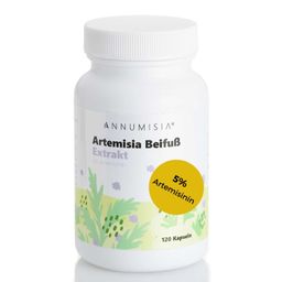 ANNUMISIA® Artemisia Beifuß Extrakt Kapseln 5% Artemisinin