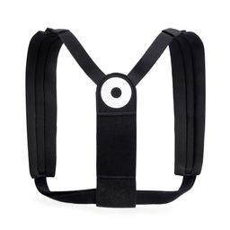 Blackroll Haltungstrainer Posture