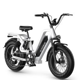G-FORCE RS ST Elektrofahrrad, 48V 15Ah Akku (herausnehmbar)