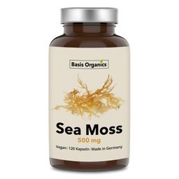 Basis Organics® Sea Moss Kapseln aus der Alge Irish Moss