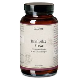 Erdling. Kraftpilze Freya - Vitalpilz Synergetikum