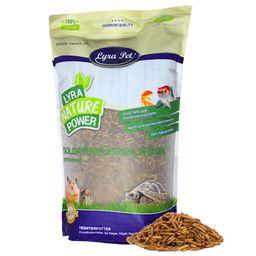 Lyra Pet® Soldatenfliegenlarven