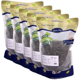 Lyra Pet® Heimchen getrocknet