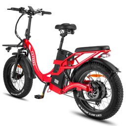 Fafrees F20 X-Max Elektrofahrrad mit 48V 30AH Akku