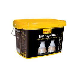 Marstall Huf-Regulator