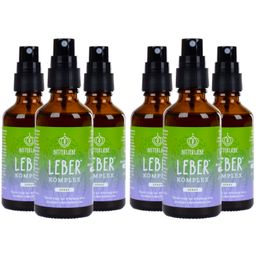 BitterLiebe - Leber Spray - natürliche Unterstützung der Leberfunktion mit Cholin und Bitterstoffen