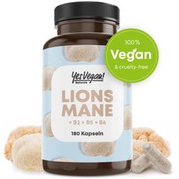 Lions Mane - 1950mg je Tagesdosis - Extrakt (entspricht 19.500mg Hericium Erinaceus) PREMIUM