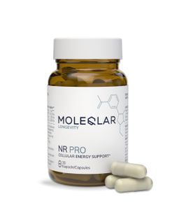 MoleQlar Nicotinamid Ribosid (NR) PRO 500mg Kapseln