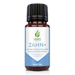 Zahn+ | Zahnpflege Hund & Katze | zur Unterstützung der Maulhygiene