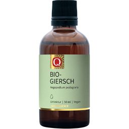Quintessence  Bio-Giersch Tinktur