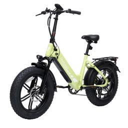 Bodywel F20PRO Elektrofahrrad mit 48V18AH-Akku
