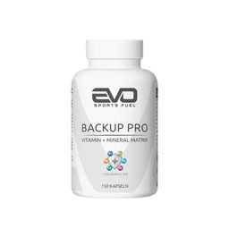 EVO Backup Pro