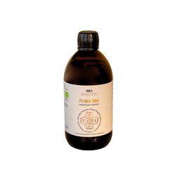 Wild Baboon FLORA VIDA - Ferment mit lebenden Mikroorganismen, Kurkuma, Ingwer und Aloe Vera, BIO