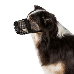 Giftköder Schutznetz für Hunde XL