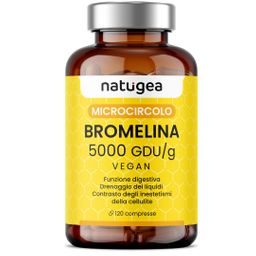Bromelain High Dose 10,000 F.P.I. -natugea®