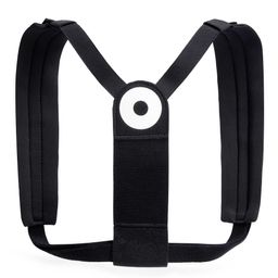 Blackroll Haltungstrainer Posture