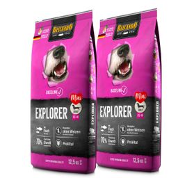 Belcando Explorer