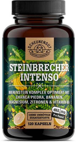 Scheunengut® Steinbrecher Intenso | Die Original Nierenstein-Formel aus der TCM | Chanca Piedra