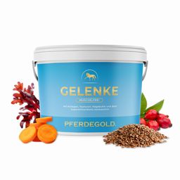 Pferdegold Gelenke muschelfrei