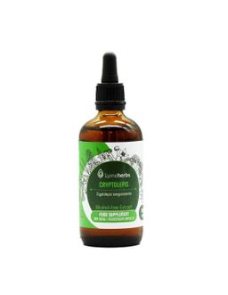 Lymeherbs Cryptolepis alkoholfreier Extrakt 1:1