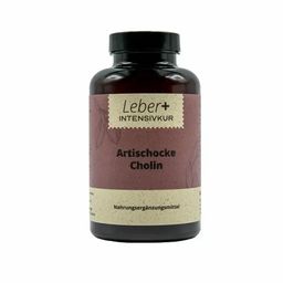Salufast Artischocke-Cholin Kapseln