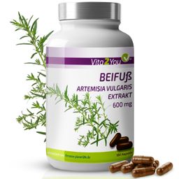 Vita2You Beifuß Extrakt Kapseln 600mg
