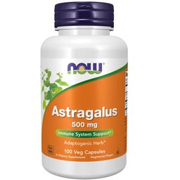 NOW FOODS Astragalus 500 mg