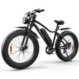 isinwheel M10 Plus Elektrofahrrad mit 48V 13Ah Akku, 26 Zoll