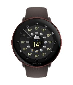 Pulsuhr / Tracker POLAR IGNITE 3 Fitnessuhr braun 900106239