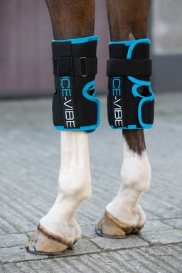 Horseware Ice-Vibe Therapiegamaschen Knee Wrap