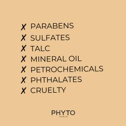 PHYTO PARIS - Nutrition - Maske