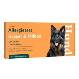 Allergietest - Gräser, Milben & Co. Hund