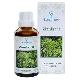 Evolution Zinnkraut Tinktur