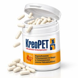 KREOPET Pankreatin Enzyme Pankreasenzyme Pankreasinsuffizienz GIGI VET