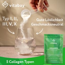 Vitabay Collagen Peptid  Pulver Typ 1-3,5,10 + Hyaluronsäure, Vitamin C & Biotin