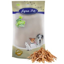 Lyra Pet® Kleine Fische