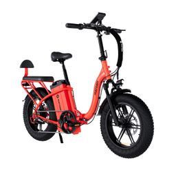 RATTAN LF ULTRA E-Bike für Pendler, 48V 40,5Ah Akku, Soziussitz